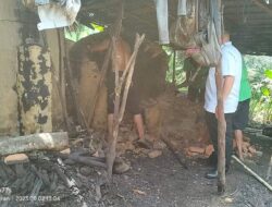 Pasca Polda Sumut Tangkap Pembalak Mangrove, dengan kesadaran Warga Bongkar Dapur Arangnya