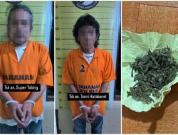 Polres Taput Amankan 2 Pengguna Narkoba Dan 1 Pengedar