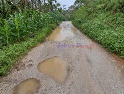 Akses Jalan Menuju Desa Lau Kersik Rusak Berat Masyarakat Minta Perhatian Pemerintah Dairi