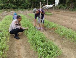 Polsek Pangkalan Lesung Berkoordinasi dengan Petani untuk Dukung Ketahanan Pangan