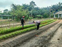 Polsek Ukui Kembali Lakukan Monitoring Lahan Ketahanan Pangan di Desa