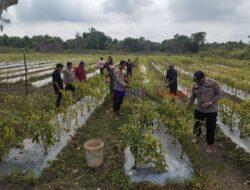 Warga Dukung Ketahanan Pangan dan Program Asta Cita Presiden di Teluk Meranti, Pelalawan