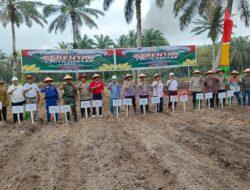 Kick Off Penanaman Jagung di PT. Serikat Putra, Dukung Program Ketahanan Pangan Nasional