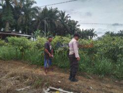 Bhabinkamtibmas Desa Air Hitam Sambang Perkarangan Bergizi Warga