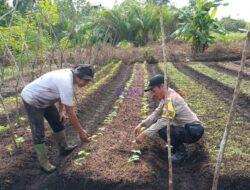 Polsek Teluk Meranti Sambangi Lahan Pertanian Warga, Dorong Program Ketahanan Pangan