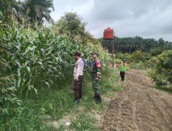 Bhabinkamtibmas Polsek Ukui dan Babinsa Berikan Motivasi Ke Petani