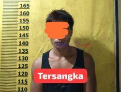 Polsek Pangkalan Kuras Kembali Amankan Pelaku Pencurian Buah Kelapa Sawit