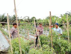 Tinjau Lahan Ketahanan Pangan, Petani Apresiasi Dukungan Polri