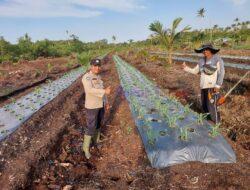 Bhabinkamtibmas sambangi Kebun Pekarangan Bergizi untuk Dukung Program Asta Cita Presiden RI
