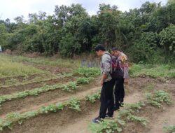Polisi Berkoordinasi dengan Petani untuk Wujudkan Ketahanan Pangan