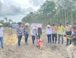 Ketahan Pangan, Penanaman Jagung Serentak di Desa Tanjung Beringin, Pelalawan