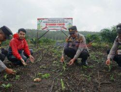 Kapolsek Pangkalan Kuras Tinjau Progres Program Ketahanan Pangan dan Penanaman Jagung Pipil di Desa Sorek Dua