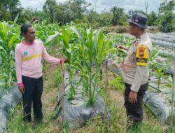 Bhabinkamtibmas Desa Pangkalan Terap Sambangi Lahan Pertanian Warga dalam Mendukung Program Asta Cita Presiden