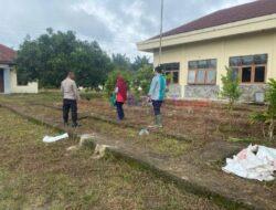 Polsek Pangkalan Lesung Manfaatkan Halaman Kantor Jadi Kebun Sayur