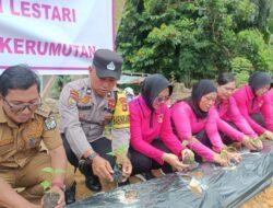 Program Pekarangan Pangan Lestari untuk Dukung Ketahanan Pangan di Kerumutan