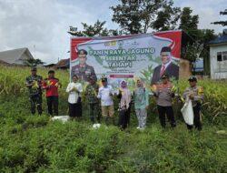 Panen Raya Serentak Jagung Tahap I di Desa Makmur, Dukung Program Ketahanan Pangan