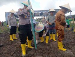 Sinergi Polri dan Perusahaan, PT. ADEI Plantation Gelar Penanaman Jagung di Pelalawan