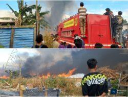 Dilalap si Jago Merah, Salah Satu Usaha Palet Warga Batu Aji Hangus Terbakar