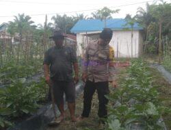 Bhabinkamtibmas Desa Segati Sambangi Kebun Pekarangan Bergizi Mandiri di Dusun III Tasik Indah