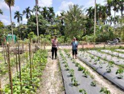 Bhabinkamtibmas Sambang Kebun Pekarangan Bergizi Mandiri, Dukung Program Asta Cita Presiden RI