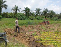Polsek Pangkalan Kerinci Kawal Program Ketahanan Pangan: Pantau Persiapan Penanaman Jagung Pipil