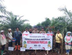 Polsek Teluk Meranti Laksanakan Program Ketahanan Pangan dengan Penanaman Jagung Pipil di Lahan Tumpang Sari