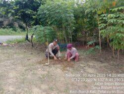 Bhabinkamtibmas Polsek Bunut Tanam Pohon Durian, Dukung Program Penghijauan Kapolda Riau