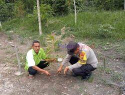 Hijaukan Lingkungan, Bhabinkamtibmas Tanam Pohon Durian di Pelalawan