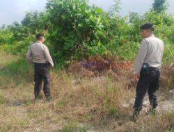 Patroli Cegah Karhutla, Polsek Pangkalan Kerinci Sisir Wilayah Rawan Terbakar