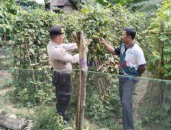 Mendukung Ketahanan Pangan, Polsek Pangkalan Lesung Berkoordinasi dengan Masyarakat Petani