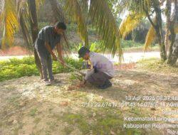 Bhabinkamtibmas Kelurahan Langgam Bripka Ari Budiman Laksanakan Penghijauan, Tanam Pohon Pinang di Desa Tambak