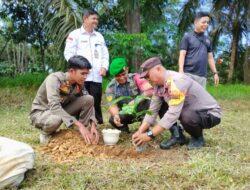 Program Kapolda Riau, Ukui dan Forkopimcam Tanam Pohon di Mapolsek
