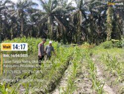 Bhabinkamtibmas Polsek Ukui Aktif Dukung Program Asta Cita Presiden
