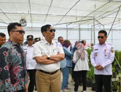 Direktur TSTH2 Prof Sri Fatmawati : 50 % Hasil Ditentukan Kualitas Bibit