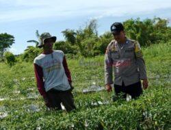 Dukung Program Asta Cita, Polisi Kunjungi Pekarangan Bergizi di Desa Serapung