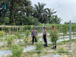 Ketahanan Pangan Terpadu, Desa Sidomukti Siap Jadi Percontohan Polres Pelalawan