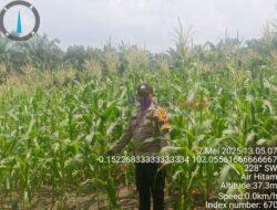 Polisi Kunjungi Kebun Jagung Warga, Dukung Swasembada Pangan di Kampung Baru Pelalawan