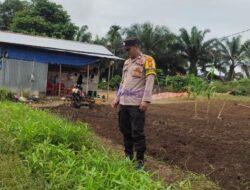 Polsek Bunut Dukung Program Asta Cita, Bhabinkamtibmas Sambangi Kebun Mandiri Warga Desa Petani
