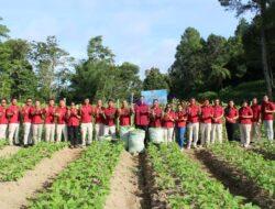 Lapas Kelas IIB Siborongborong Panen Buncis 300 kg, Wujudkan Ketahanan Pangan
