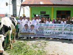 Bupati Humbahas Terima Bantuan Sapi Kurban dari Gubsu