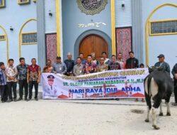 Bupati Humbahas Serahkan 1 Ekor Sapi Kurban Kepada Pengurus Masjid Barangan Sihite