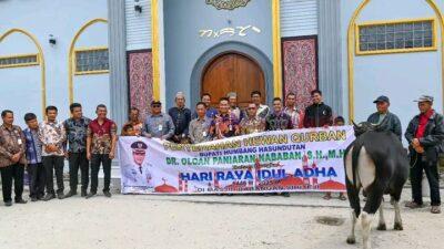 Bupati Humbahas Serahkan 1 Ekor Sapi Kurban Kepada Pengurus Masjid Barangan Sihite