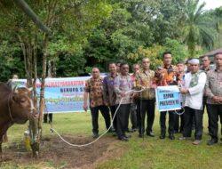 Bupati Humbahas Serahkan Bantuan Sapi Kurban Presiden dan Wakil Presiden di Kecamatan Tarabintang dan Parlilitan