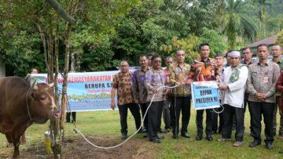 Bupati Humbahas Serahkan Bantuan Sapi Kurban Presiden dan Wakil Presiden di Kecamatan Tarabintang dan Parlilitan
