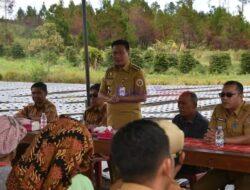 Wujudkan Swasembada Pangan, Bupati Humbahas Bersama KT “Subur Rabang Nauli” dan “Dosroha” Tanam Bawang Putih di Pollung