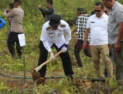 ‎Bupati Tapanuli Utara Canangkan Penanaman Sejuta Pohon Durian untuk Pemulihan Pascabencana