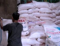 Petani Bahalbatu II Soroti Pembagian Pupuk, Dugaan Permainan Mafia Kios