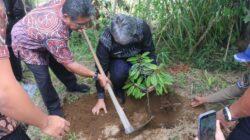 ‎Pemkab Tapanuli Utara gandeng TJSL PT. Taspen (Persero) berikan 1.500 bibit Durian Unggul kepada Kelompok Tani Kecamatan Parmonangan ‎